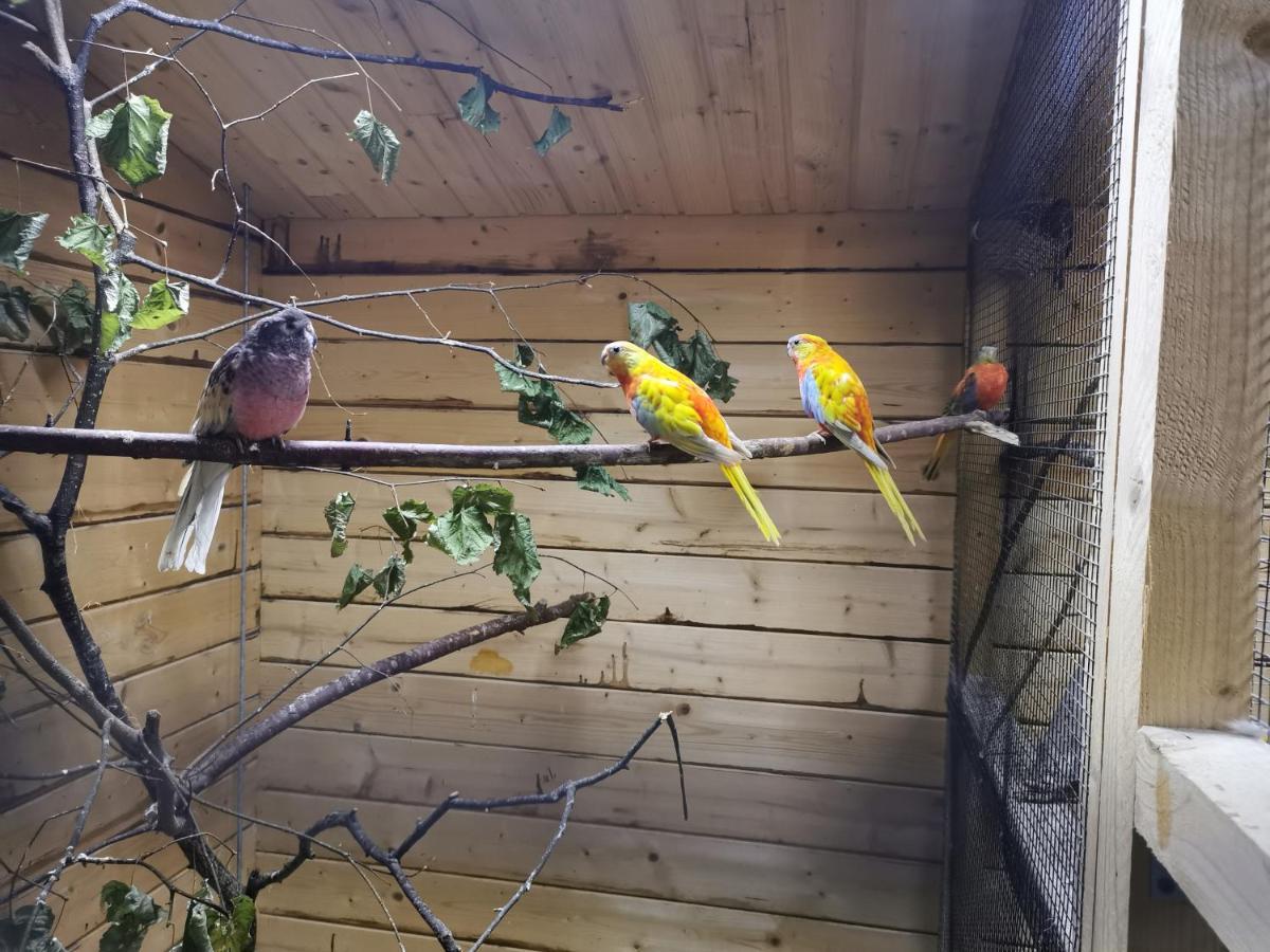 Apartament Casa Hibiscus Putbus Zewnętrze zdjęcie